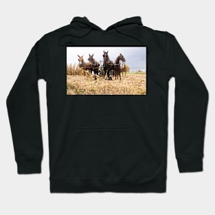 Work horses Hoodie